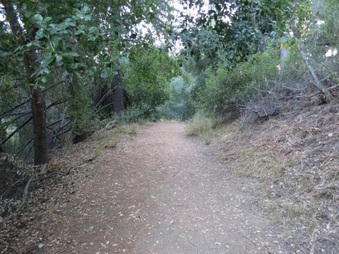 Enlarge photo 10