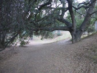 Enlarge photo 12