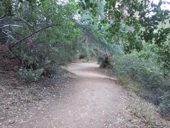 Enlarge photo 13