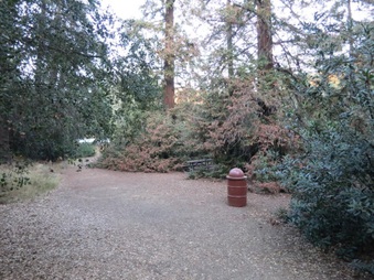 Enlarge photo 15
