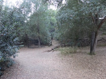 Enlarge photo 17