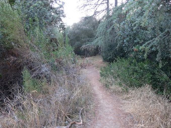 Enlarge photo 18