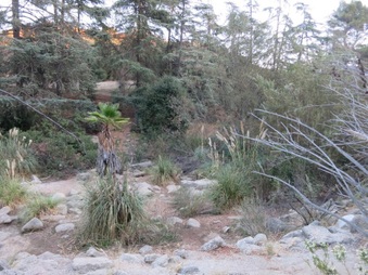 Enlarge photo 20