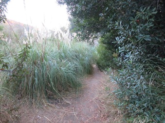 Enlarge photo 21