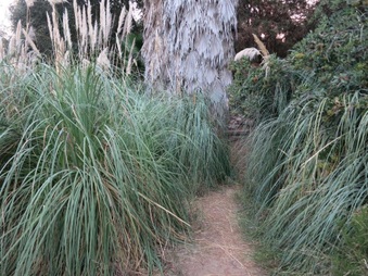 Enlarge photo 22