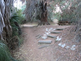 Enlarge photo 23
