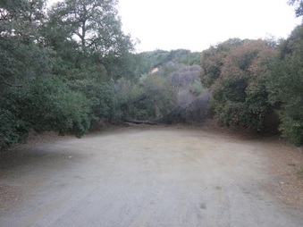 Enlarge photo 25