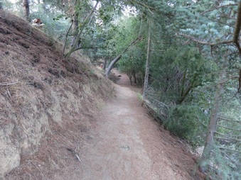 Enlarge photo 27