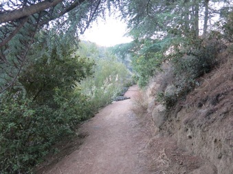 Enlarge photo 28