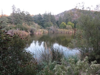 Enlarge photo 29