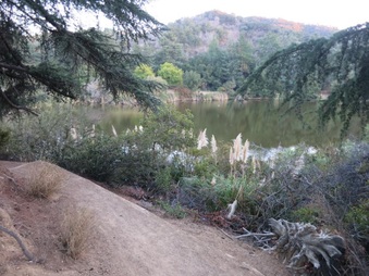 Enlarge photo 31