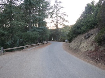 Enlarge photo 32