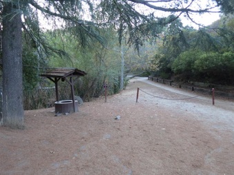 Enlarge photo 33