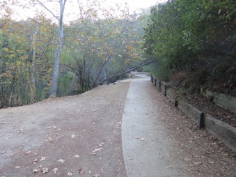 Enlarge photo 34