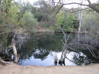Enlarge photo 37