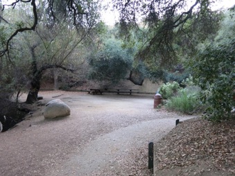 Enlarge photo 38