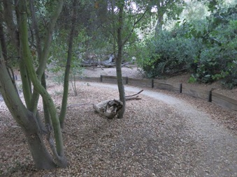 Enlarge photo 39