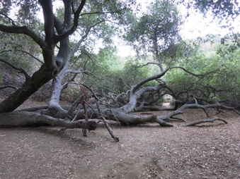 Enlarge photo 40