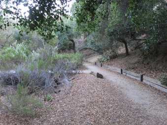 Enlarge photo 41