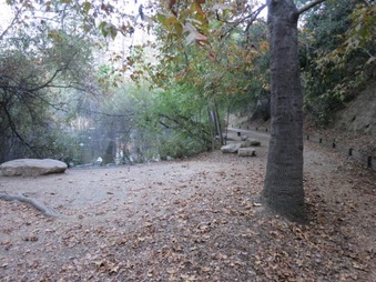 Enlarge photo 42