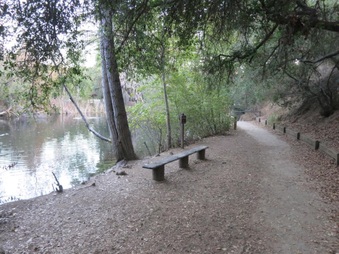Enlarge photo 43