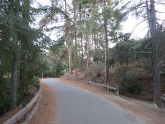 Enlarge photo 44