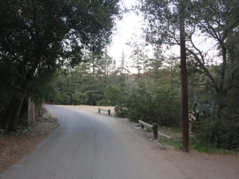 Enlarge photo 45