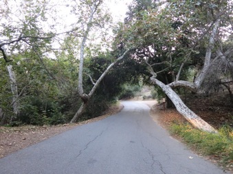 Enlarge photo 46