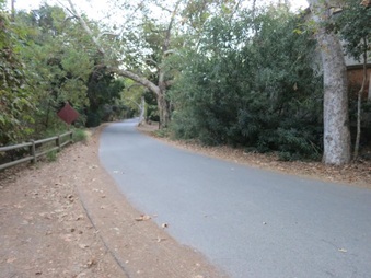 Enlarge photo 47