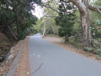 Enlarge photo 48