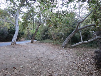 Enlarge photo 49