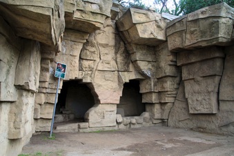 Enlarge photo 12