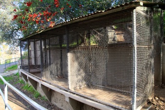 Enlarge photo 14
