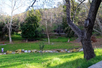 Enlarge photo 17