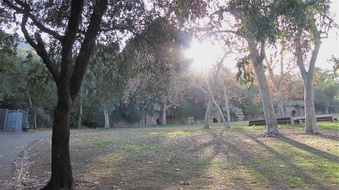 The Old Zoo