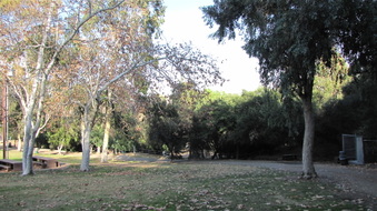 Enlarge photo 2