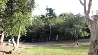 Enlarge photo 3