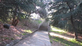 Enlarge photo 5