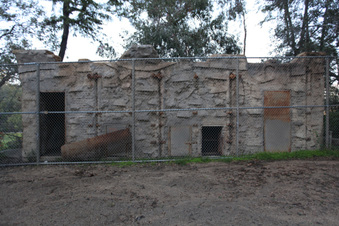 Enlarge photo 9
