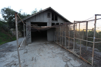 Enlarge photo 10