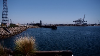 Enlarge photo 41