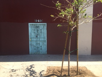 Enlarge photo 6