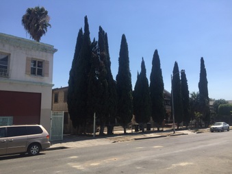 Enlarge photo 5