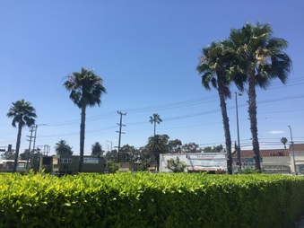Enlarge photo 5