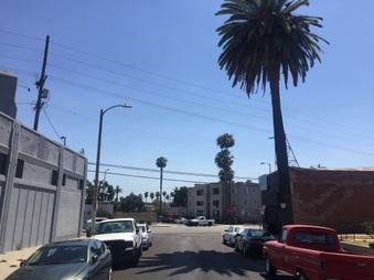 Enlarge photo 9