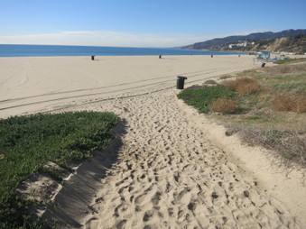 Enlarge photo 11