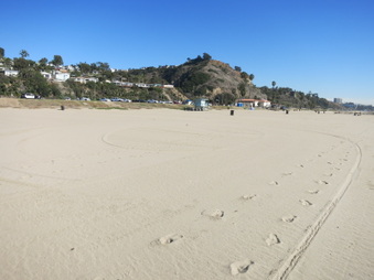 Enlarge photo 18