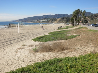 Enlarge photo 29