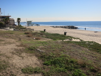 Enlarge photo 39
