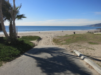 Enlarge photo 40